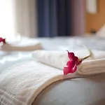 Anusca Palace Hotel Castel San Pietro Terme