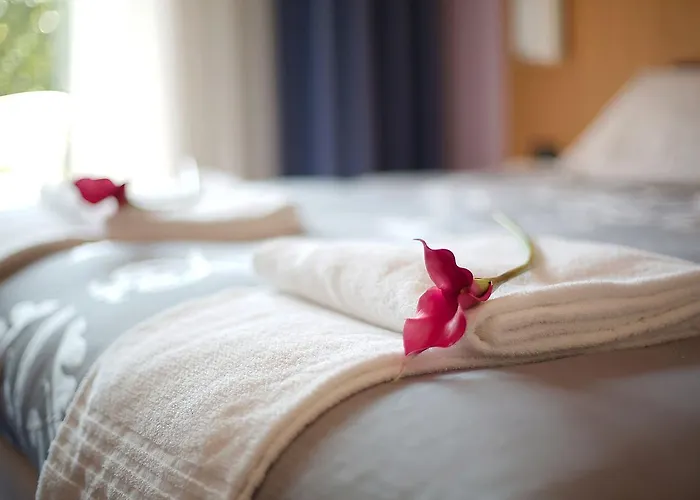 Anusca Palace Hotel Castel San Pietro Terme