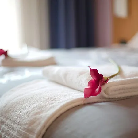 安努斯嘉皇宫酒店 酒店 圣彼得罗-泰尔梅堡